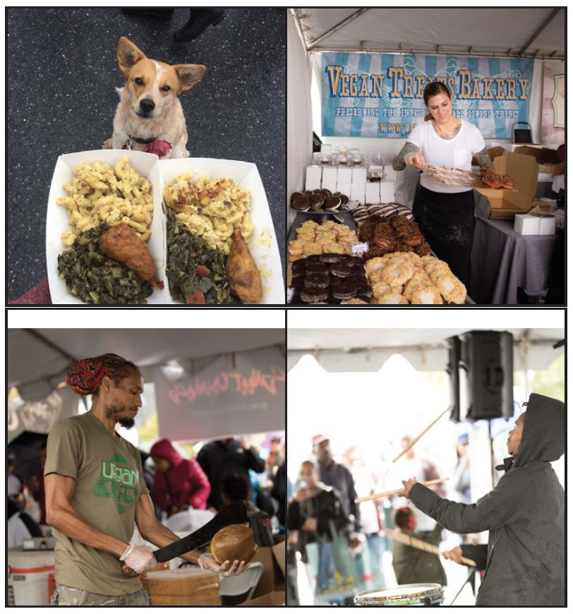 DCVEGFEST